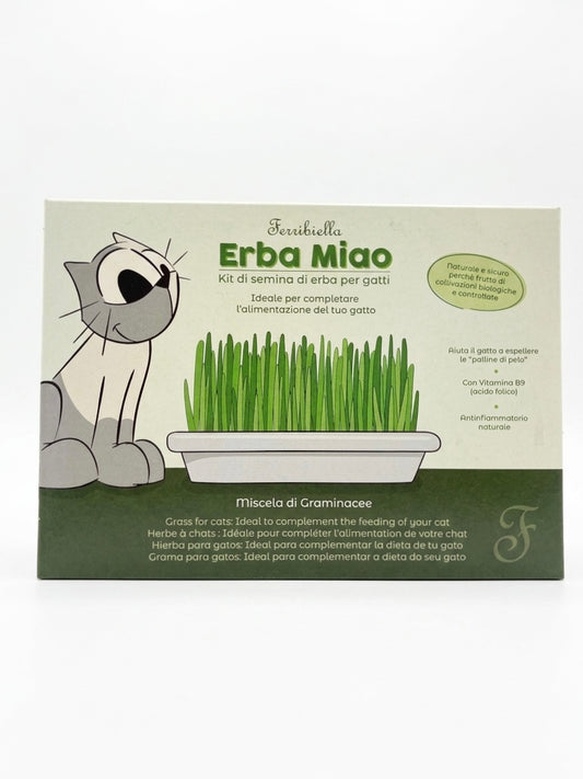 Erba Miao – Erba Gatta da Coltivare in Casa | Ferribiella