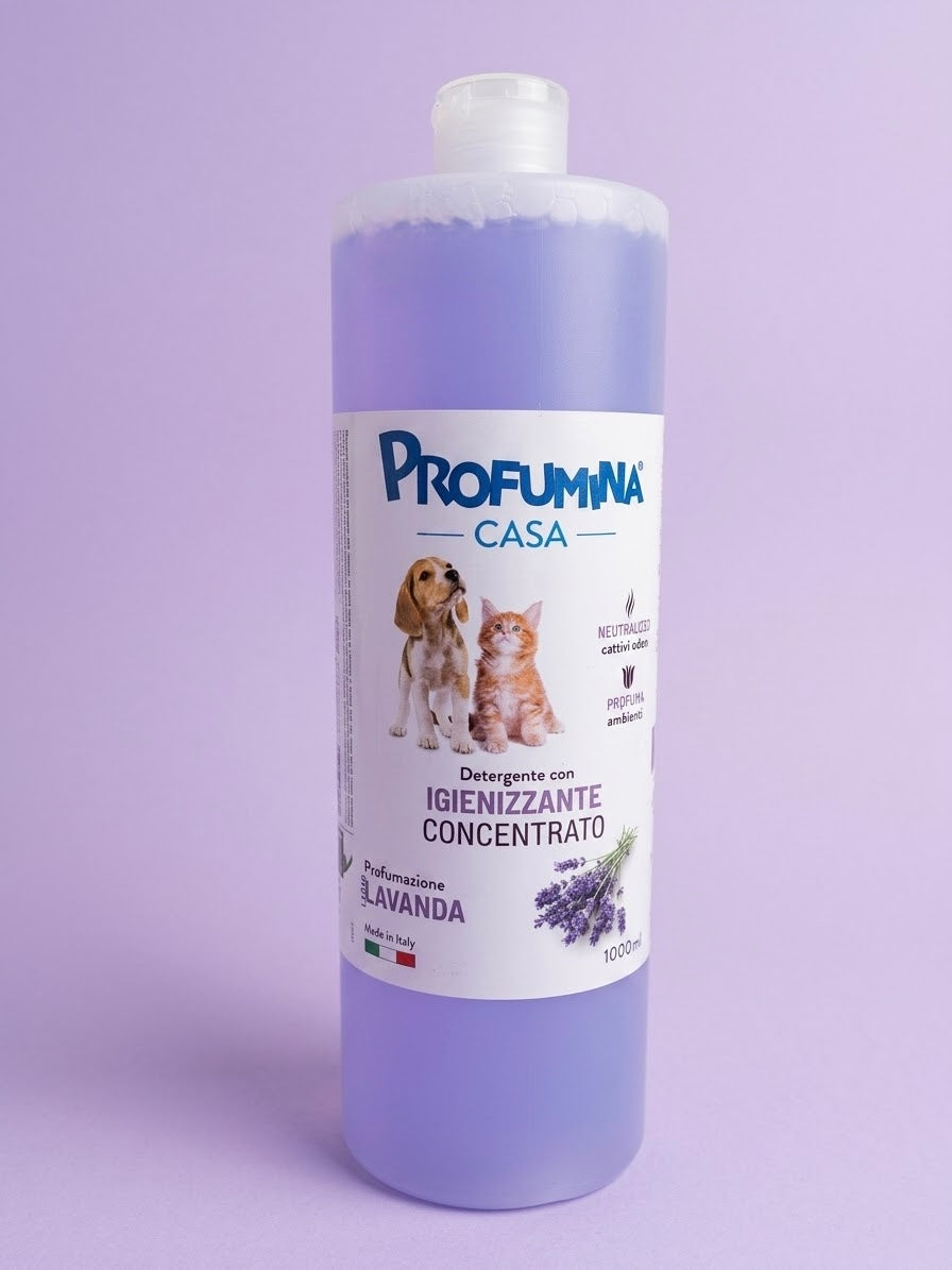 Profumina Casa  Detergente Igienizzante Concentrato 1000 ml Lavanda